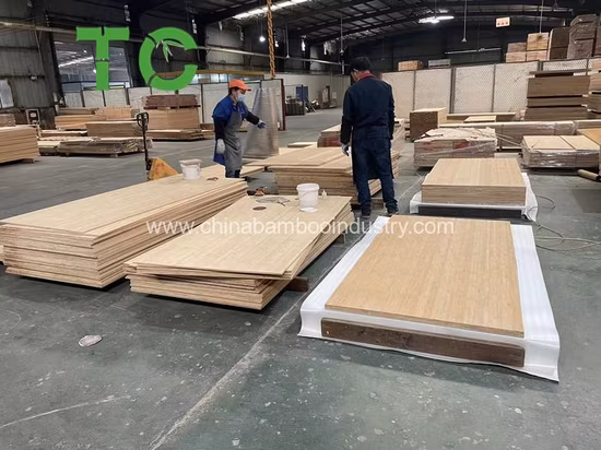 Panneau de contreplaqué de bambou horizontal carbonisé à 2 couches de 16 mm personnalisé en usine